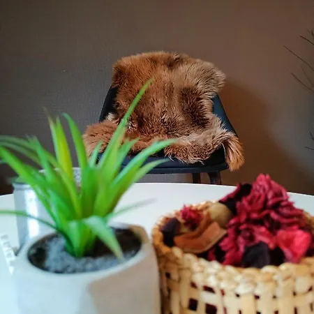 Right In The Centre Stavanger